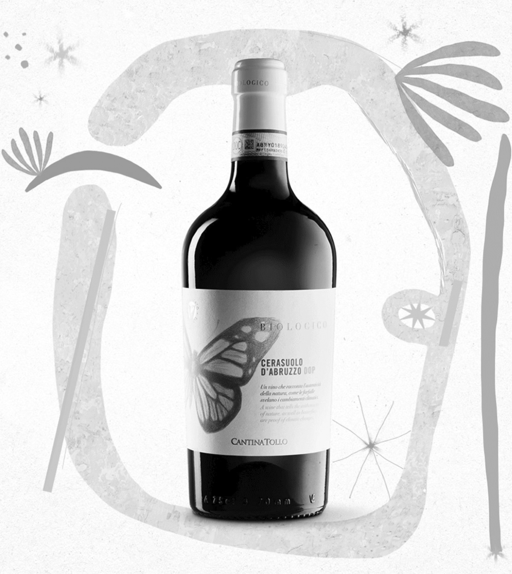 Cantina Tollo